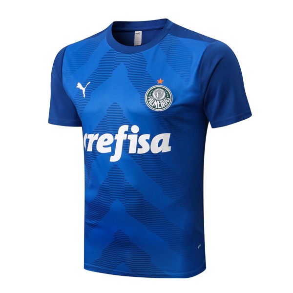 Trainingsshirt Palmeiras 2022-23 Blau